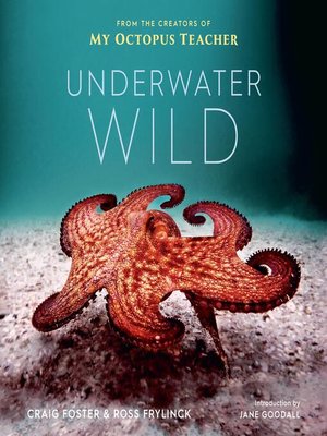 cover image of The Underwater Wild